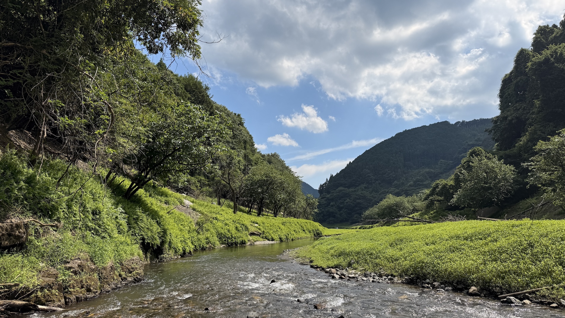 桐生の川