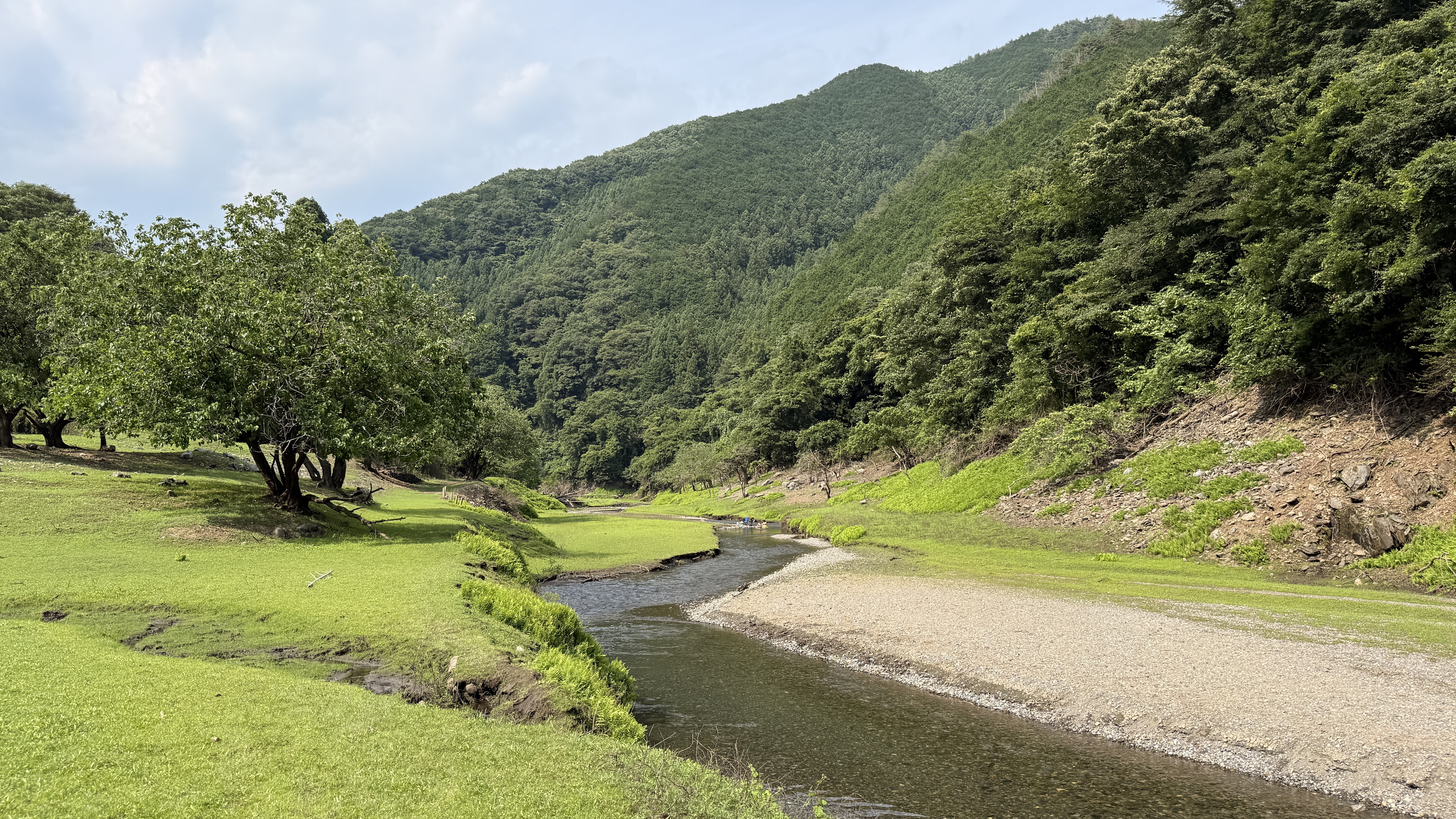 初夏の桐生川の風景
